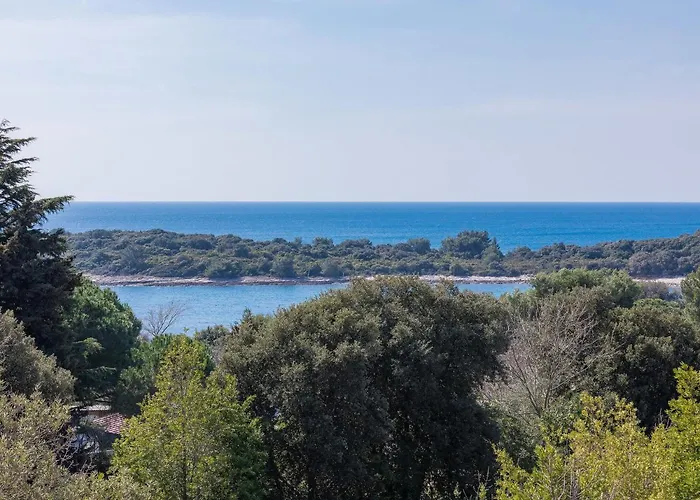 Apartmán Joy By Interhome *